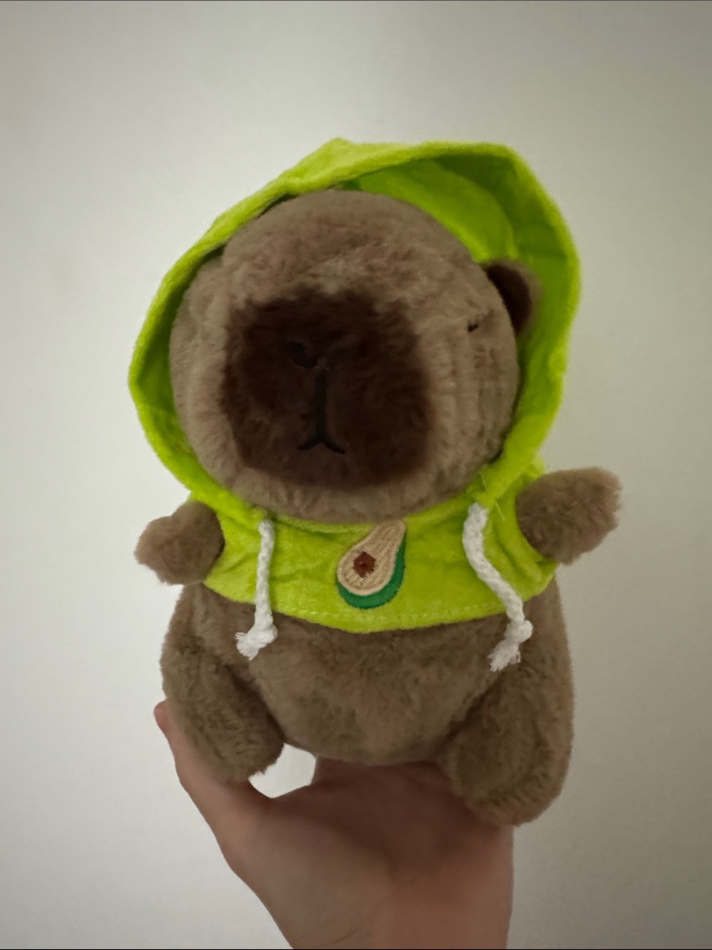 Capybara Plush Toy in Green Hooded Sweater 22 cm